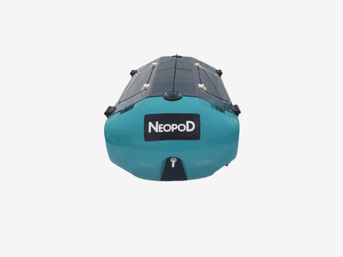 BabyPod 20 Training
