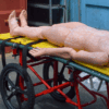 AmbuCarrier