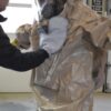 FiberTect Mitts