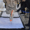 FiberTect Shuffle Pit Pad