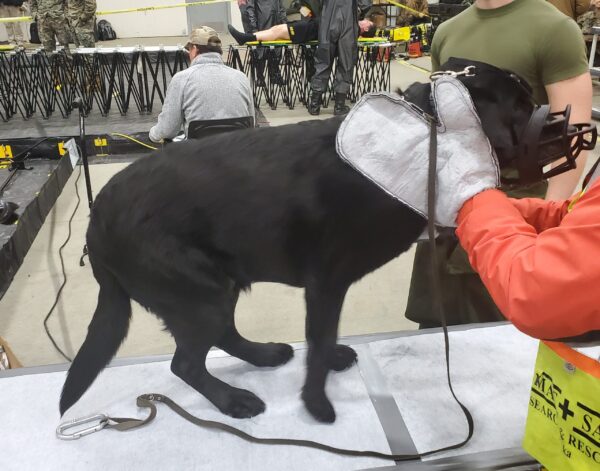 20220228_131004-2-scaled K9 Decon Kit