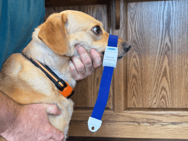 K9 decon kit 5- Product K9 Decon Kit